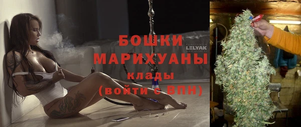 стаф Богородицк