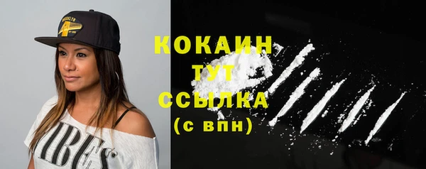 стаф Богородицк