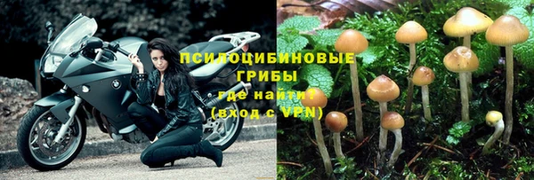 альфа пвп Богданович
