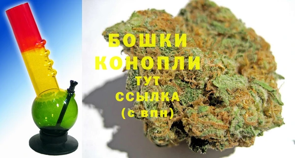 стаф Богородицк
