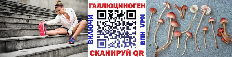 Псилоцибиновые грибы прущие грибы Сельцо
