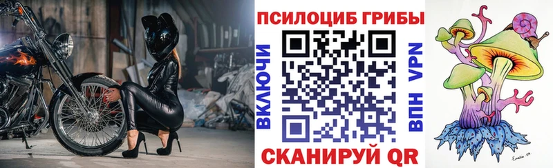 Купить где  Сельцо  Псилоцибиновые грибы мухоморы 